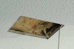 Ceiling speaker hole